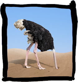 Síndrome del avestruz